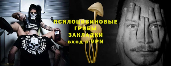 соль ск Анжеро-Судженск