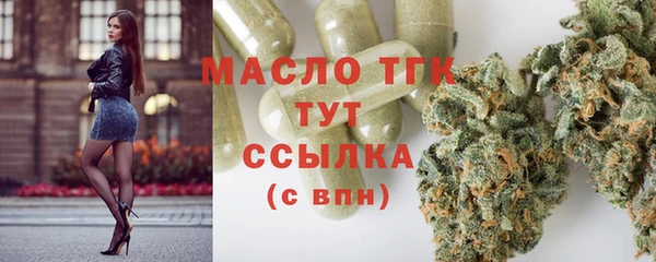 гашик Михайловск
